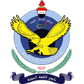القوة الجوية القوة الجوية